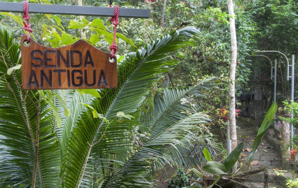 Bed and Breakfast Brisas Del Paraiso Manglaralto Екстер'єр фото